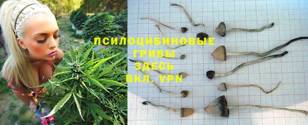 каннабис Вязники