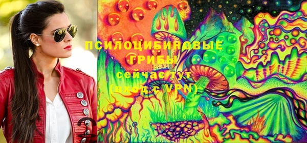 МДПВ Вязьма