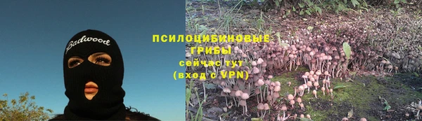 прущий лед Вяземский
